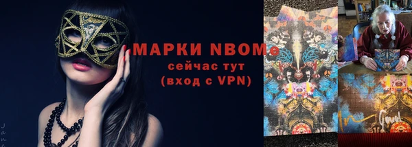 стаф Алексин