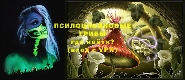 spice Алзамай