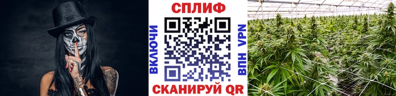 МАРИХУАНА марихуана  площадка формула  Ахтубинск 